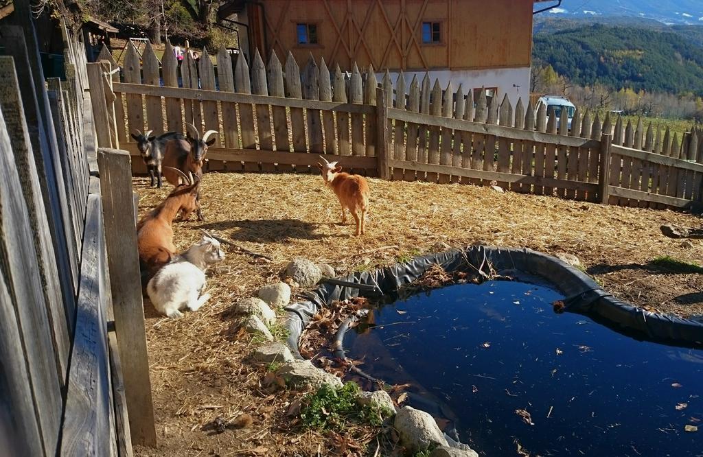 Gasserhof Aicha Natz-Schabs Bagian luar foto