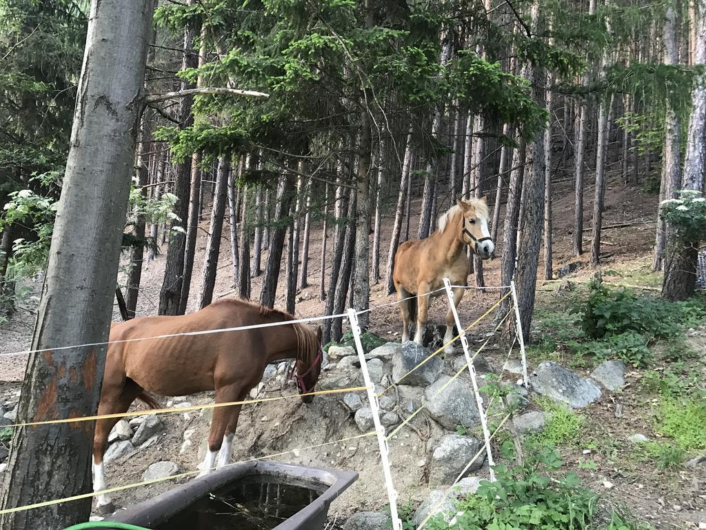 Gasserhof Aicha Natz-Schabs Bagian luar foto