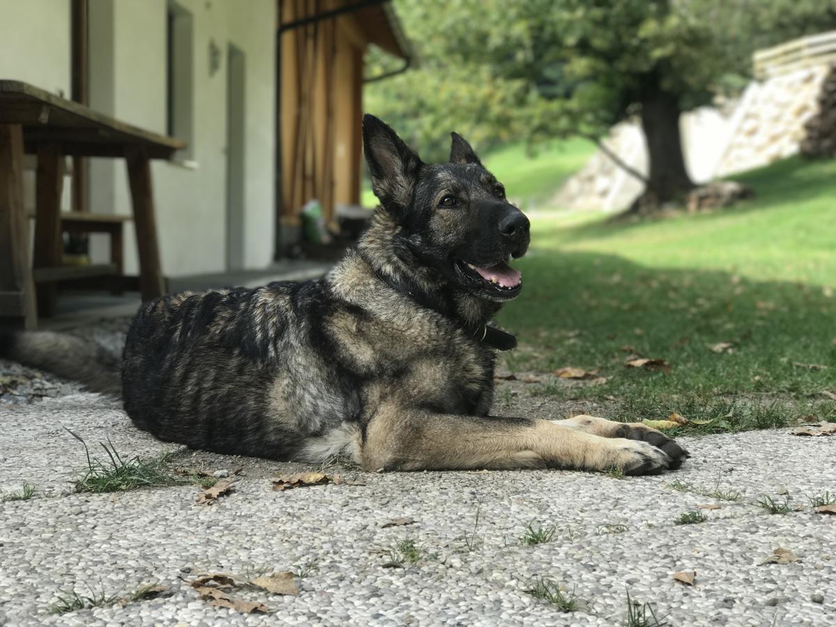 Gasserhof Aicha Natz-Schabs Bagian luar foto