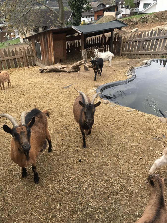 Gasserhof Aicha Natz-Schabs Bagian luar foto