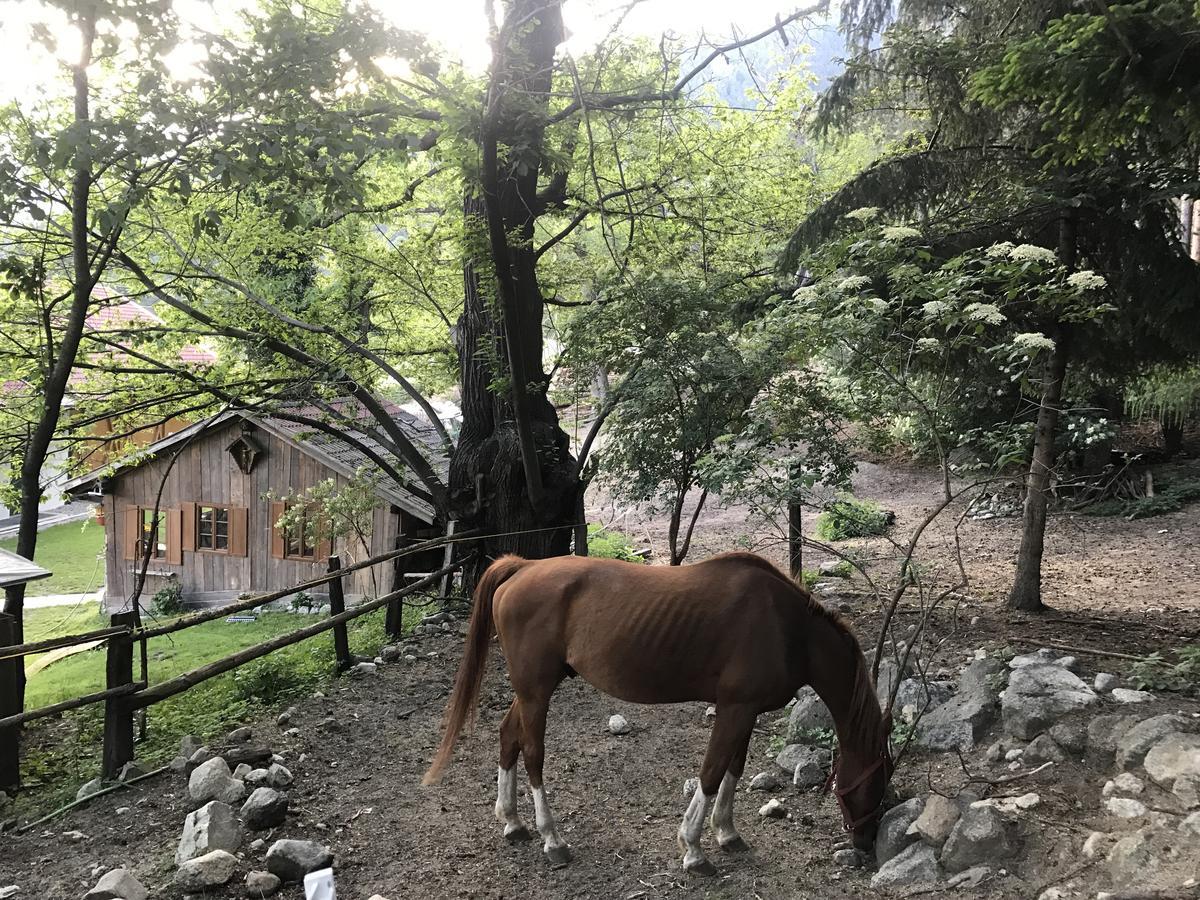 Gasserhof Aicha Natz-Schabs Bagian luar foto